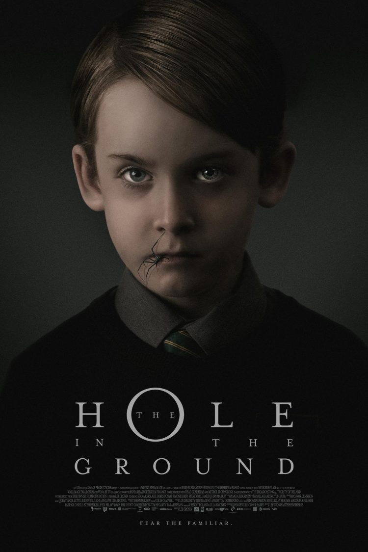 The Hole in the Ground 2019 Poster