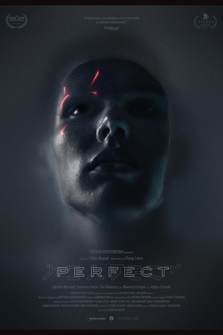 Perfect 2019 Poster